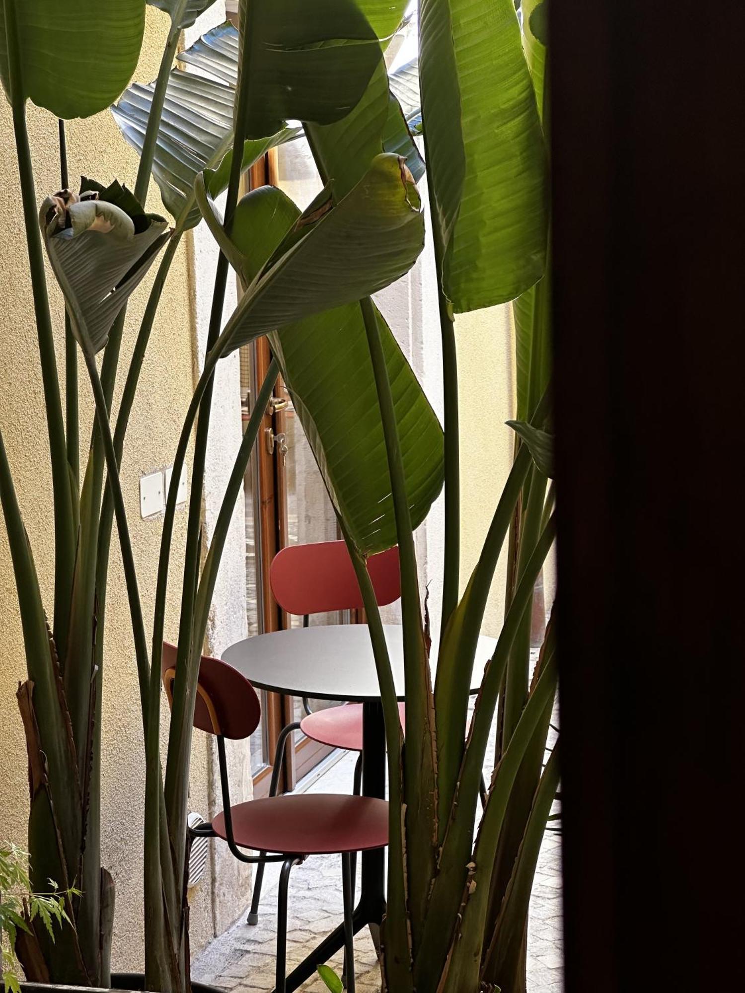 Ginevra Boutique Rooms - Palazzo Leosini - Residenze D'Epoca L'Aquila Luaran gambar